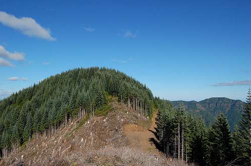 The summit of Rogers Peak from the SW