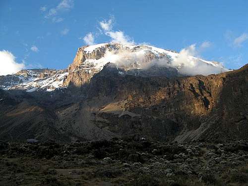 Kili from Barranco Camp