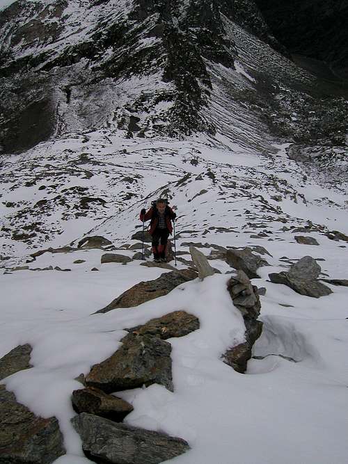 Ascending to the NE ridge of Roetspitze / Pizzo Rosso, 3495m