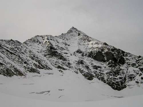The north face of Roetspitze / Pizzo Rosso, 3495m.