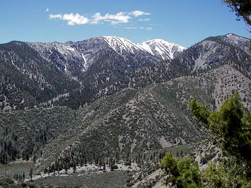 Mt. Baldy from the Northeast