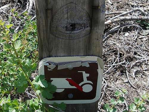 PCT, Near Mt. Shasta, CA