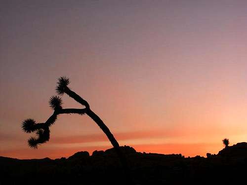 Sunset near Echo Rocks -...