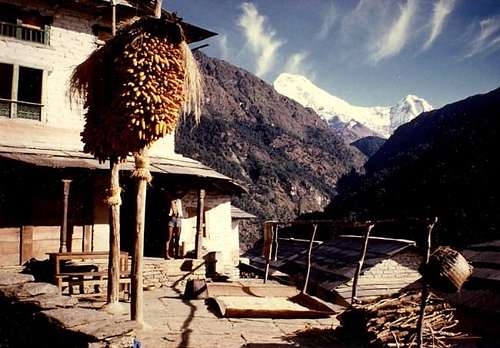Annapurna region 1979