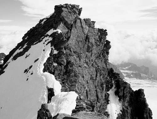 Rimpfischhorn summit