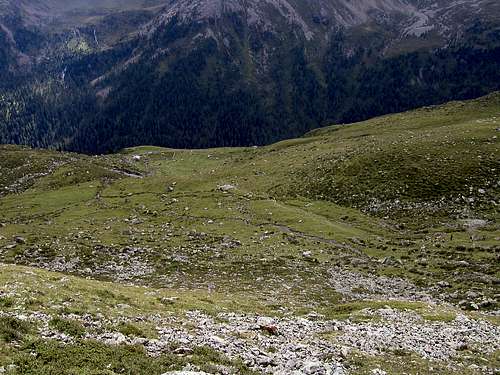 A meadow on the way to Petzeck, 3283m.