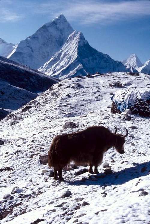 Another view of Ama Dablam -...