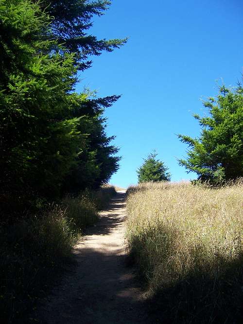 Wittenberg Trail