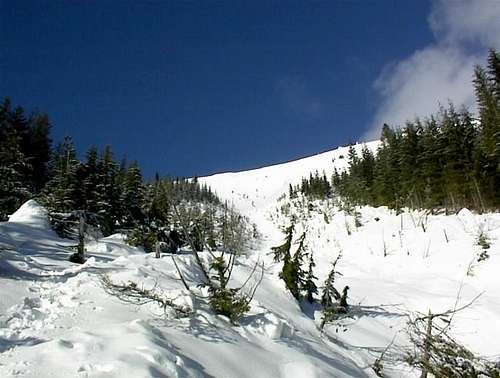 Avalanche Gulley