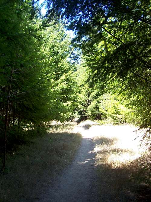 Wittenberg Trail