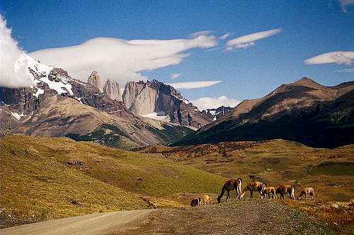 torres del paine