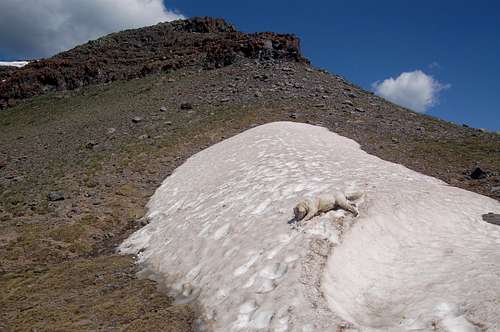 July Fourth snow on Dome Peak