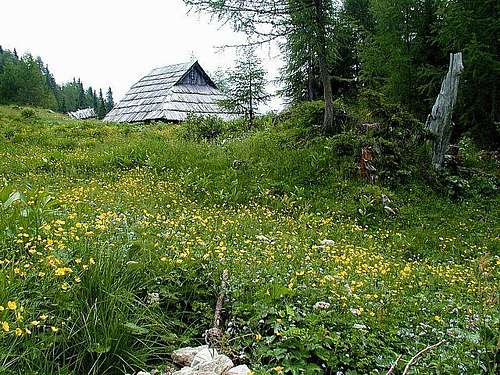 Planina Krstenica in summer....