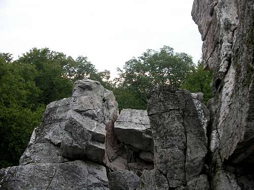 Wolf Rock