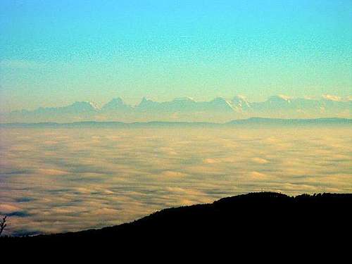 The Swiss Alps seen from the...