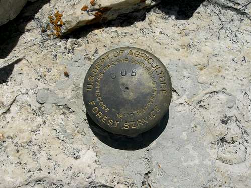 Cub Peak Summit Marker
