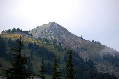 Looking towards the summit of Silver Peak from the south