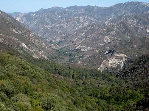 Grizzly Flat (C), San Gabriel Mtns.