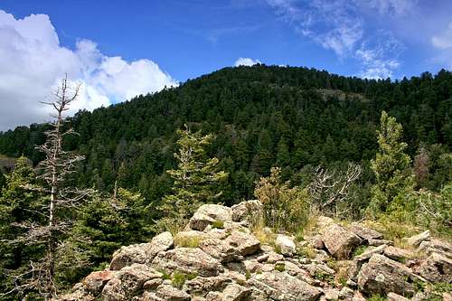 Hillsboro Peak