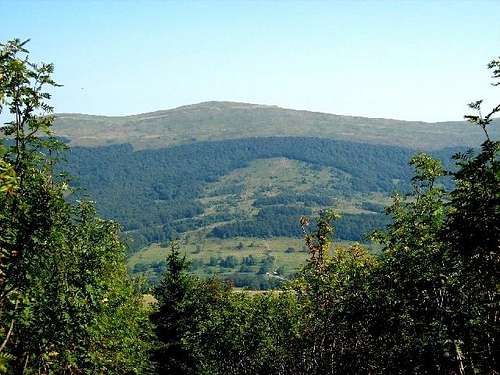 Mount Carynska Meadow (1297 m)