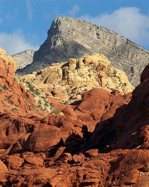 Turtle Head - Red Rocks Nevada