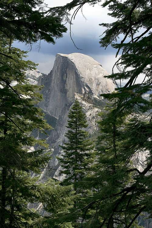 Half Dome from Four Mile Trail