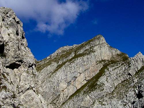 The summit of Creta di Collinetta / Cellon, 2238m.