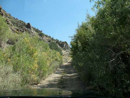 Road to Queen Mine