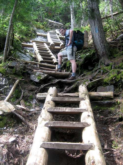 The ladders on  the Willey Range Trail