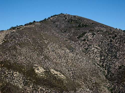 Round Top Mountain (6,316'), San Gabriel Mtns.