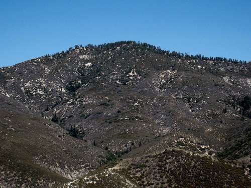 Granite Mtn. #1 (6,600'), San Gabriel Mtns.