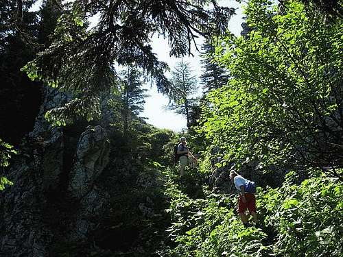 Ascending Kuhschneeberg on Fleischersteig