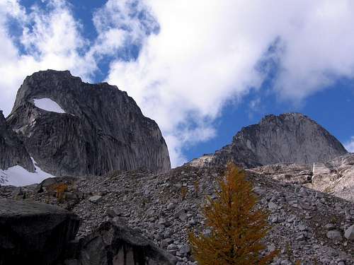 Snowpatch and Bugaboo from Kain Hut