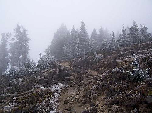 Frosty Sept trail