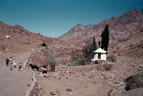 In the Sinai Desert (1980)