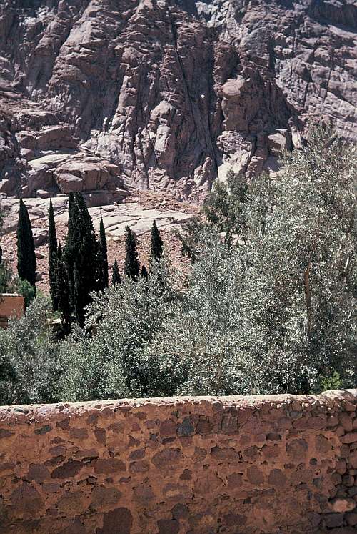 A view of St. Catherine's Monastery