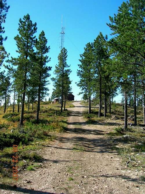 Trail Approach to Summit