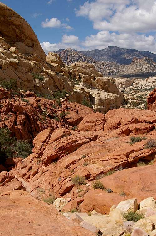 Calico Tank Trail