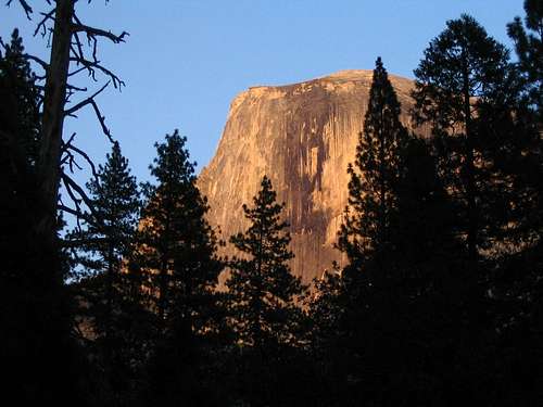 Half Dome from Valley