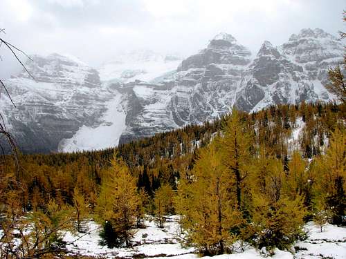 Larches + the 10 Peaks