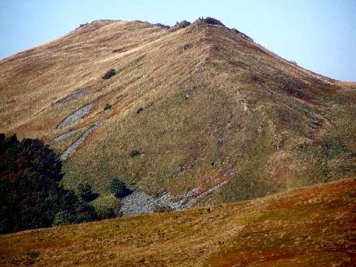 Ridge of Mount Wetlinska Meadow (1253 m)