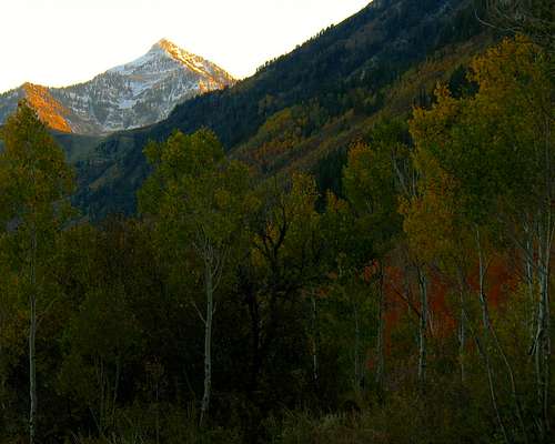 Fall colors below Cascade Mountain