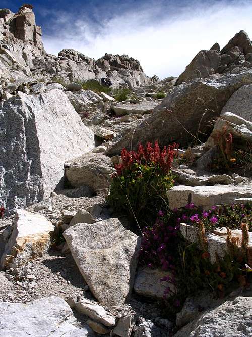 Matterhorn Approach