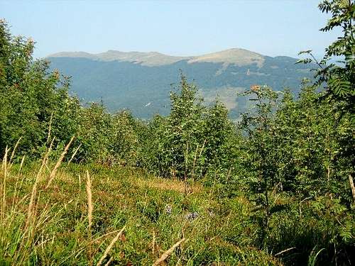 View of Wetlinska Meadow from the top of Mount Mala Rawka