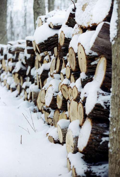 Rick of Wood in Winter