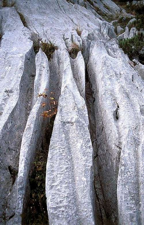 The triassic limestone of...
