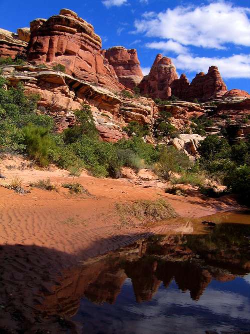 Reflection - Needles District, Canyonlands National Park