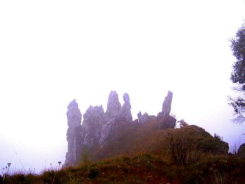 Pinnacles in the mist