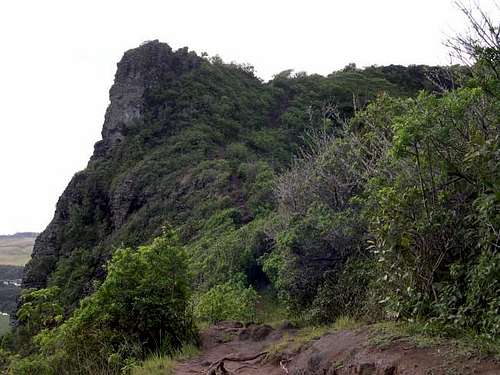The summit ridge (highpoint...
