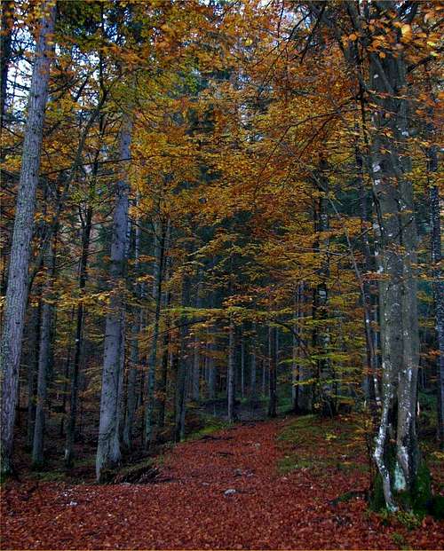 Beautiful Autumn colors in Martuljek group.
